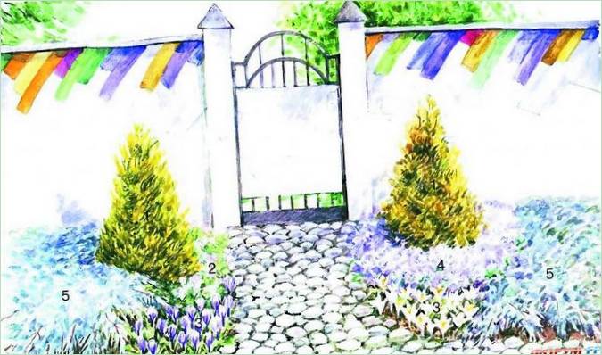 Aiuola con conifere all'ingresso