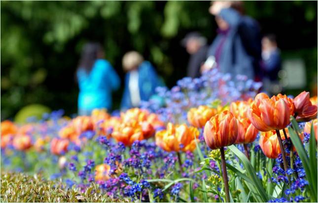 Giardini Butchart nella Columbia Britannica