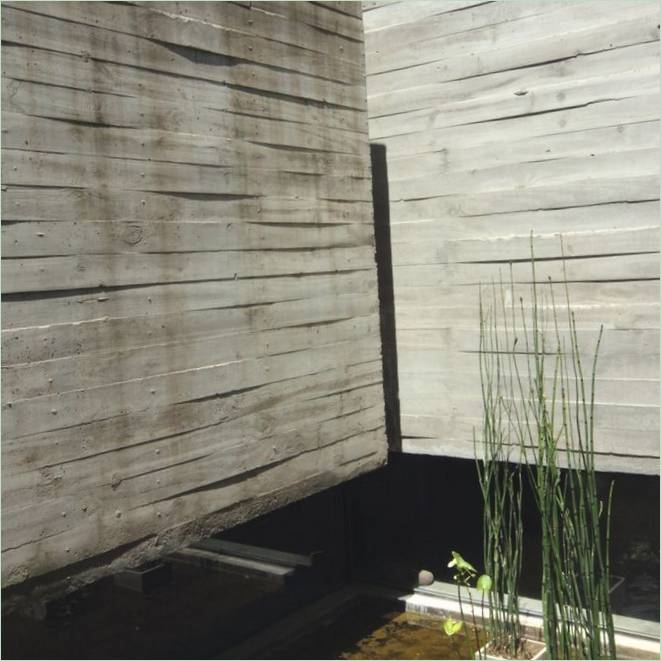Facciata in legno naturale