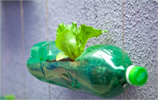 Un progetto di giardino verticale