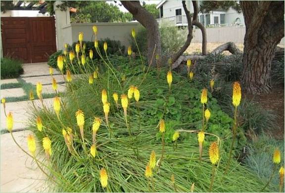 Idee per giardini fioriti da un noto designer