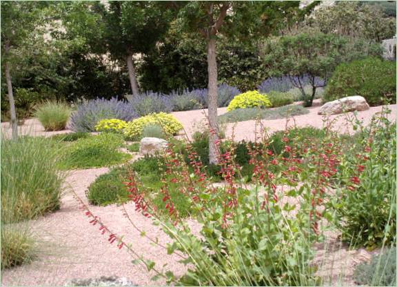 Progettazione di giardini ornamentali con lo xeriscaping