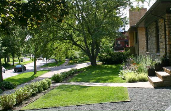 Progettazione di giardini con xeriscaping