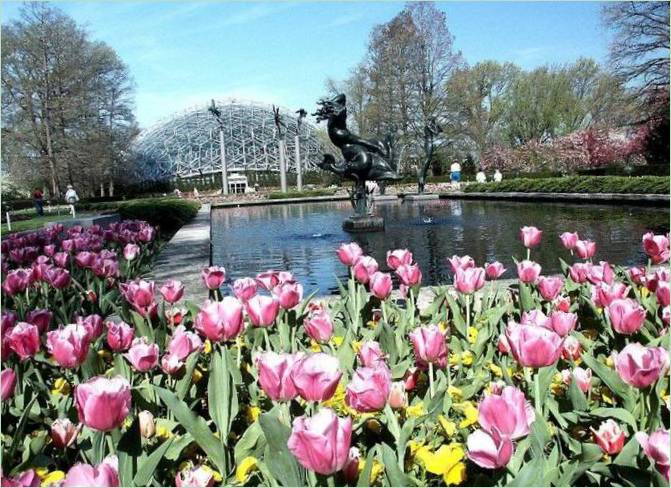 Giardino botanico del Missouri negli Stati Uniti