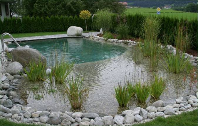 Decorare le piscine con piante vive
