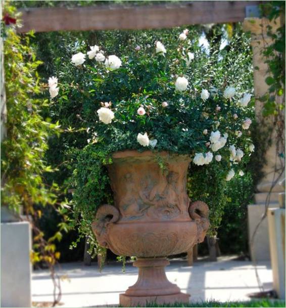 Progettazione di giardini