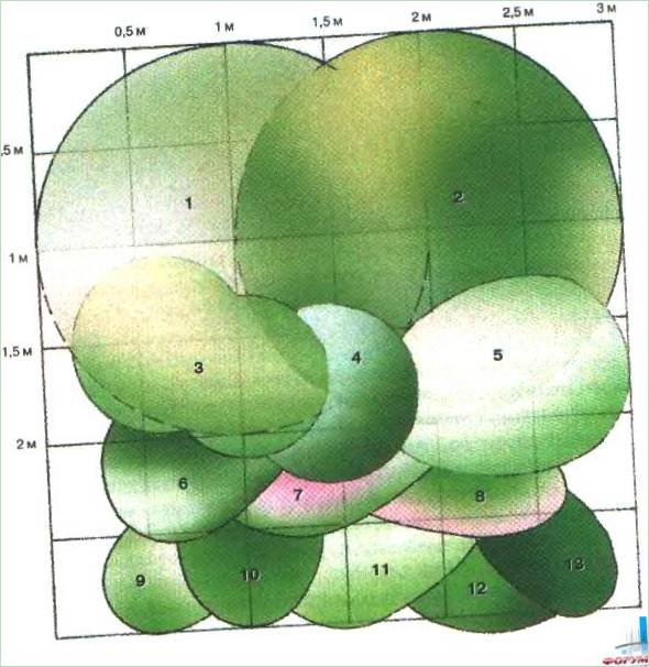 Uno schema di giardino fiorito in toni sobri