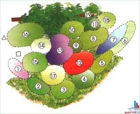 Schema di un giardino di piante perenni