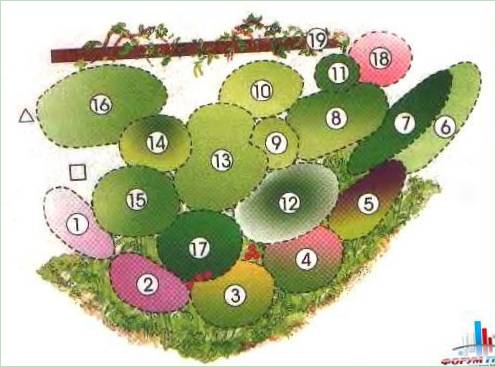 Schema di un giardino fiorito continuo