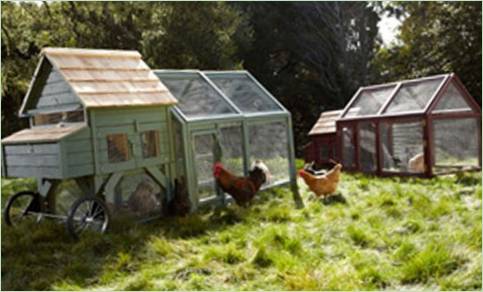 Interessanti idee di giardinaggio verticale: strutture compatte per il giardino con mini-serre