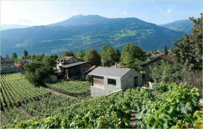 Vigneti nella casa di campagna Germaniere in Svizzera