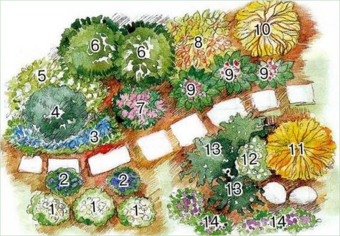 Sentiero del giardino fiorito