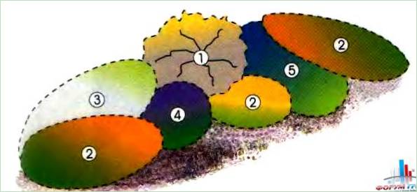Schema di un giardino fiorito con albero basso