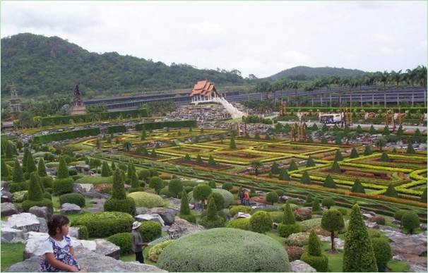 Parco tropicale di Nong Nooch in Thailandia