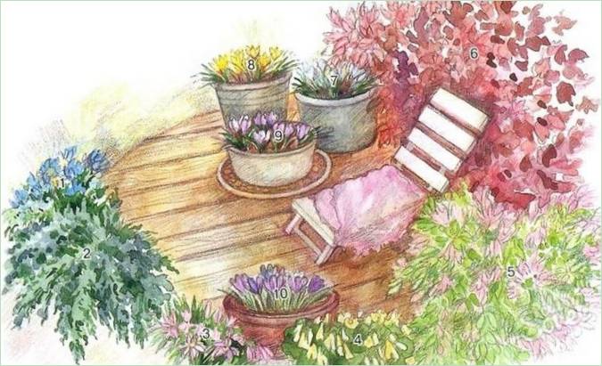 Giardino fiorito in terrazza