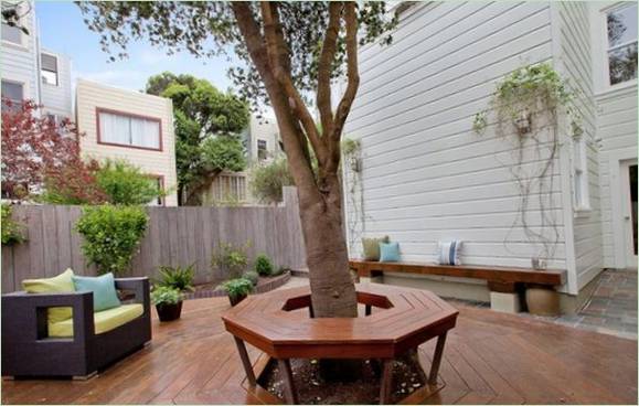 Un albero nel cortile di una casa di San Francisco