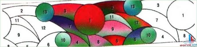 Schema di un giardino fiorito in stile mediterraneo
