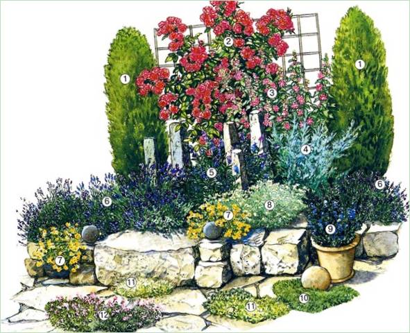Schema di un giardino fiorito provenzale