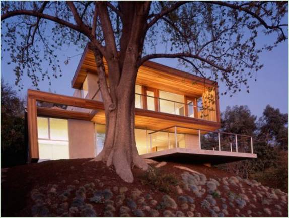 Un albero nel cortile di una casa di Los Angeles