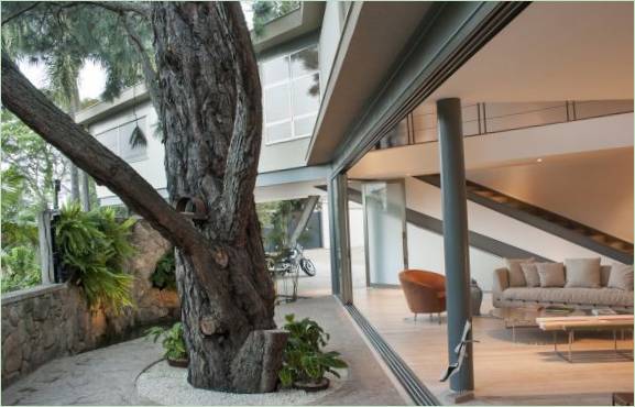 Un albero nel cortile di una casa di San Paolo