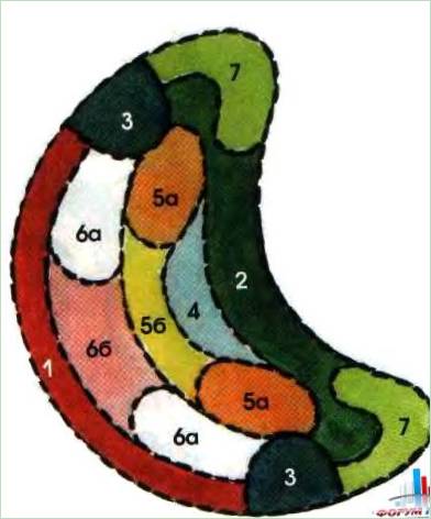 Schema di giardino a fioritura continua