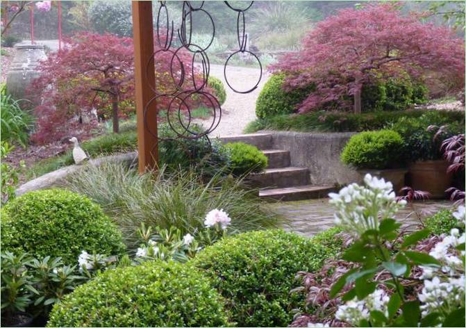 Piante nel giardino di casa