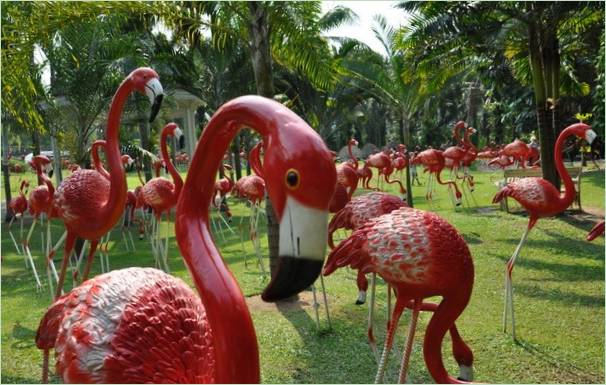 Parco tropicale di Nong Nooch in Thailandia