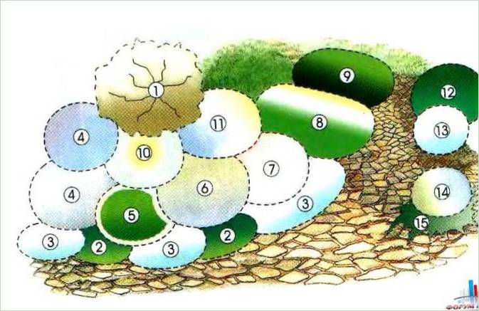 Schema di un giardino fiorito sommesso