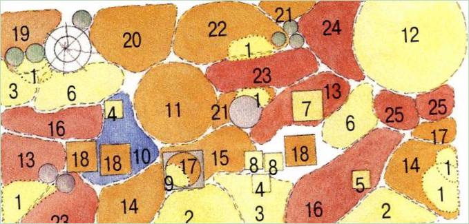 Schema di un giardino fiorito continuo