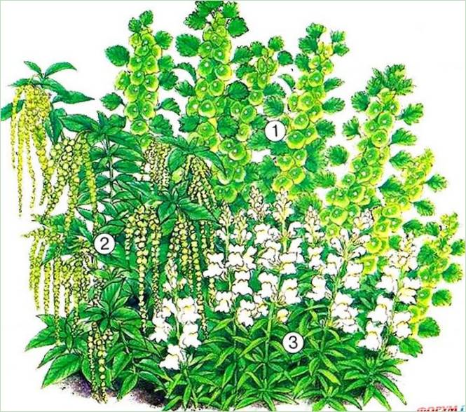 Aiuola verde