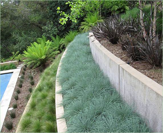 Progettazione del paesaggio per il cortile