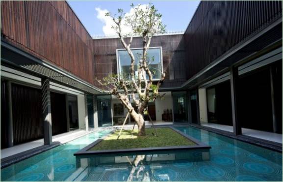 Un albero nel cortile di una casa a Singapore