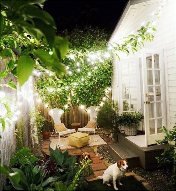 Idee sorprendenti per un giardino ornamentale: un giardino senza erba Idee straordinarie per un giardino ornamentale: un giardino senza erba