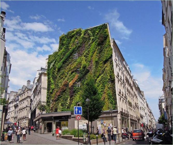 Il giardino verticale di Oasis Aboukir di Patrick Blanc