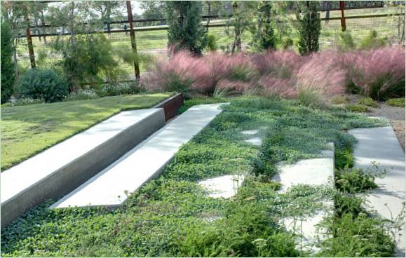 L'organizzazione dell'area del giardino
