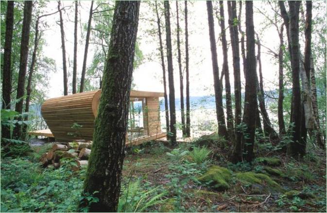 Alberi accanto alla casa estiva di Todd Saunders Design in Norvegia