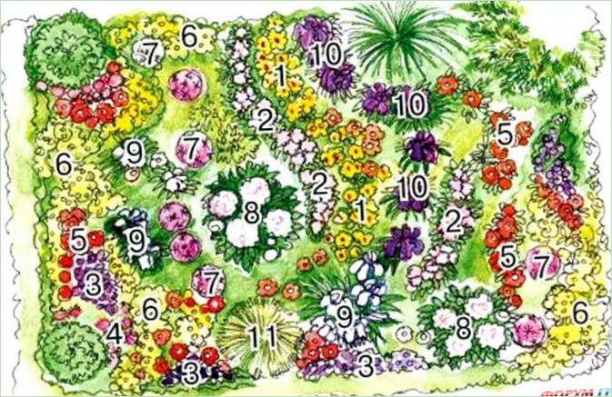 Schema di un paesaggio perenne