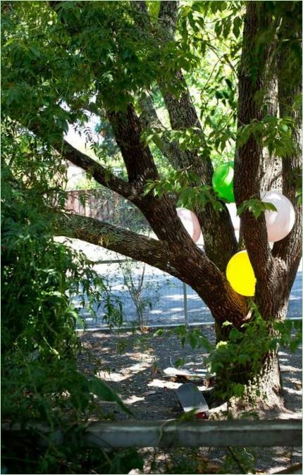 Decorare un grande albero in giardino
