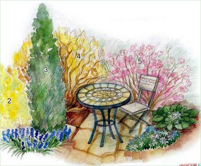 Composizione floreale per il giardino