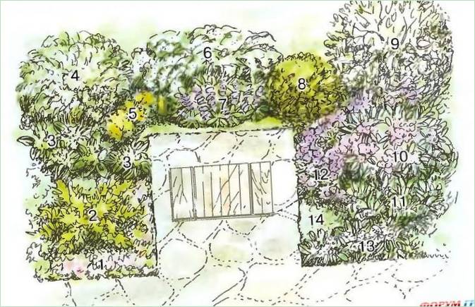 Composizione floreale per il giardino