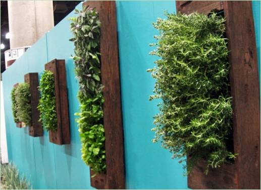 Interessanti idee di giardinaggio verticale: erbe aromatiche coltivate in più telai singoli