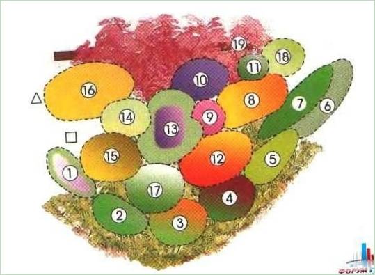 Schema di un giardino fiorito continuo