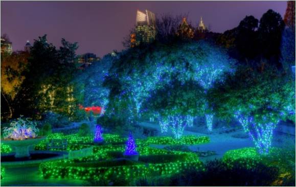 Illuminazione del giardino