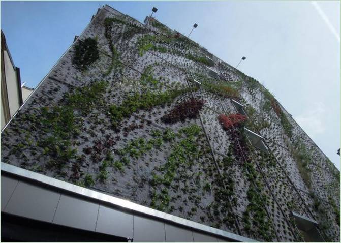Il giardino verticale Oasis Aboukir di Patrick Blanc