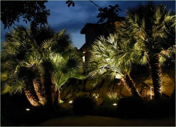 Illuminazione del giardino
