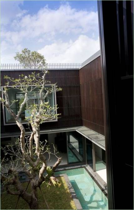 Un albero nel cortile di una casa a Singapore