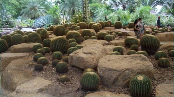 Parco tropicale di Nong Nooch in Thailandia