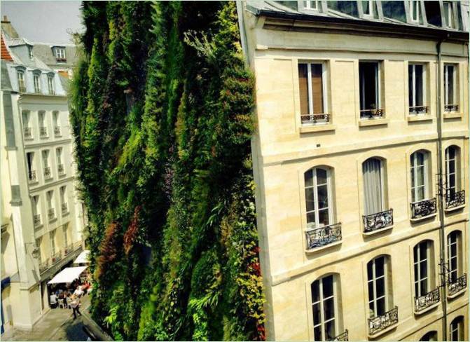 Il giardino verticale Oasis Aboukir di Patrick Blanc