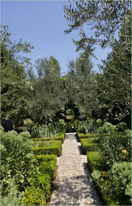 Quali piante piantare in un percorso di giardinaggio classico Quali piante piantare lungo i sentieri in un orto classico?