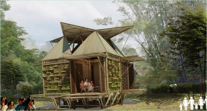 Bambù in fiore di H&P Architects